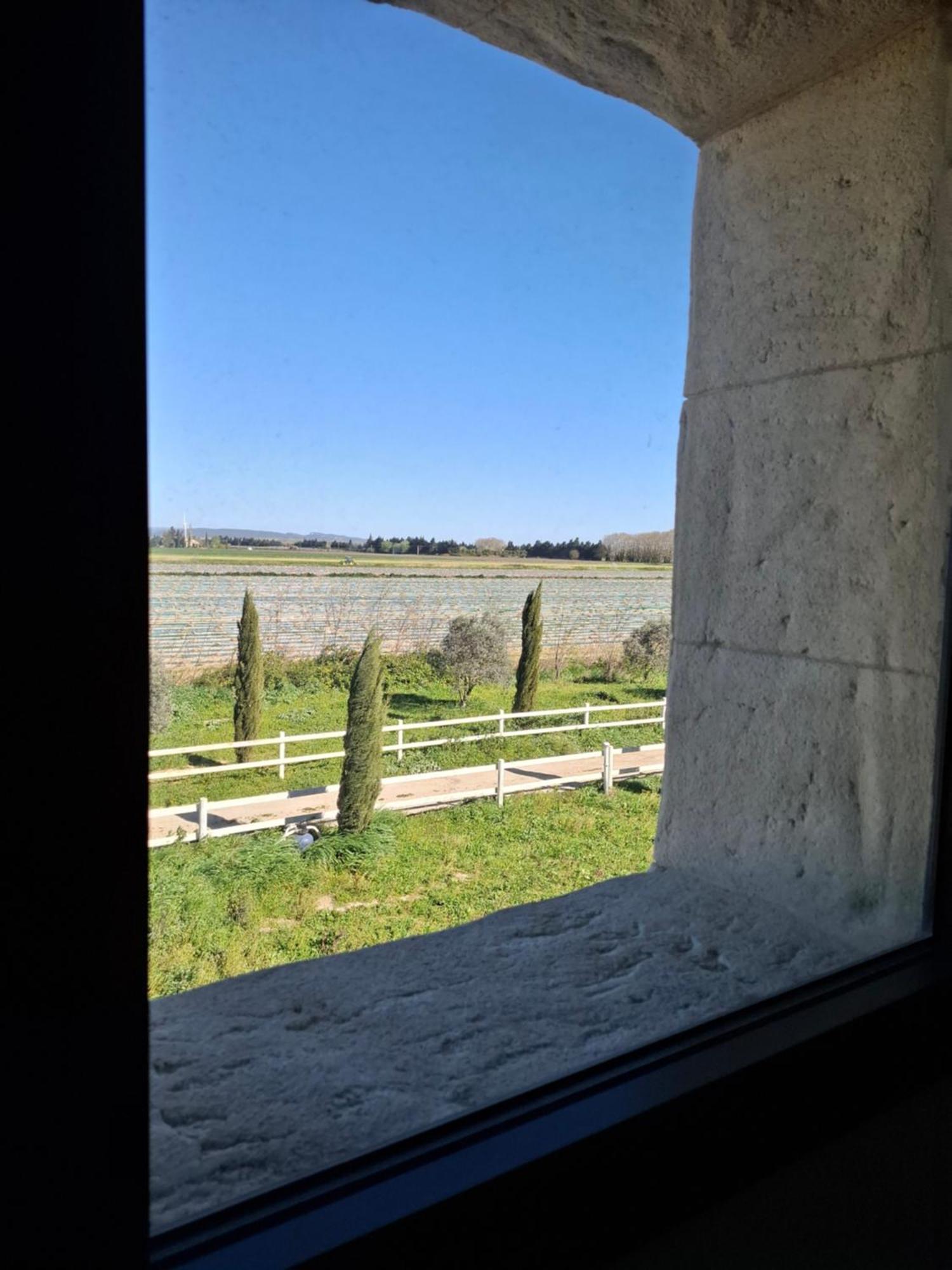 Mas De Bonnafoux Villa Beaucaire  Eksteriør bilde